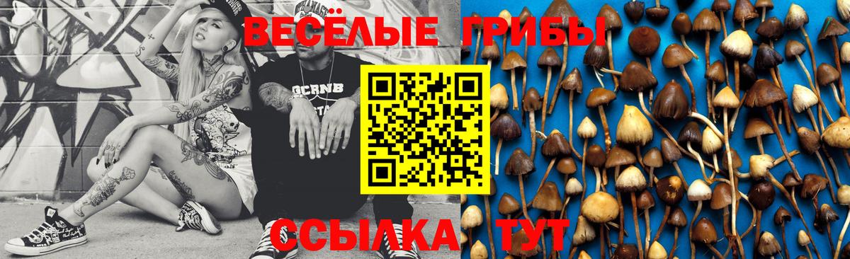 Канабис  Вход с VPN  A PVP СОЛЬ кристаллы  Меф кристаллы  Экстази  Лениногорск  Наркошоп  КОКАИН 