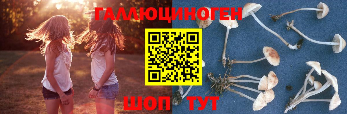Лениногорск  Галлюциногенные грибы ЛСД  наркотики  Галлюциногенные грибы мухоморы  Вход с VPN 